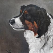 Pol Dom (1885-1978) | 'Portret van een hond'